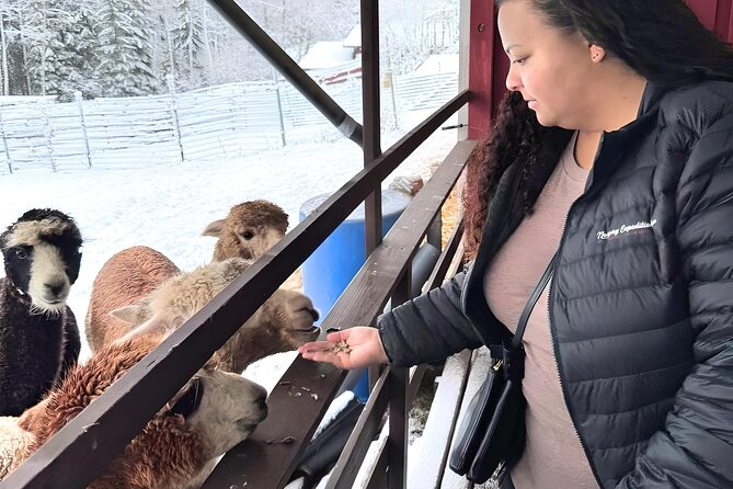 PRIVATE Alpaca Guided Forest Walk + Feeding Helsinki - The drive from Helsinki to Klaukkala