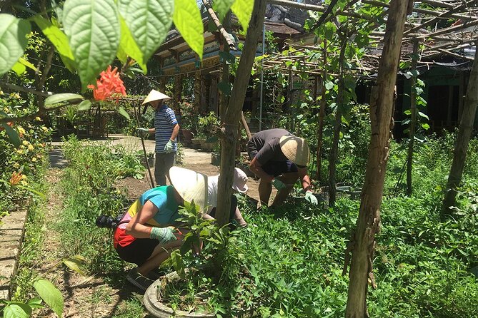 Private Cycling Tour in Rural Hue with Farming Experience - Leaving Hue by bicycle