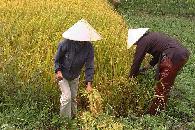Private Cycling Tour in Rural Hue with Farming Experience - Four hours of farming, fishing, and village life