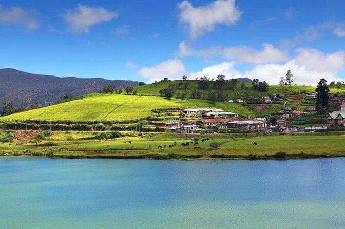 Private day tour kandy to nuwara eliya tea plantation - Key points to know before booking