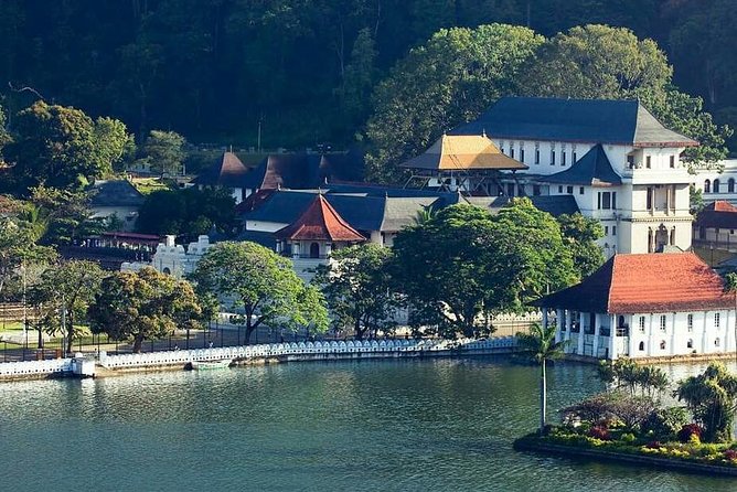 Private day tour kandy to nuwara eliya tea plantation - A full hill-country day from Kandy