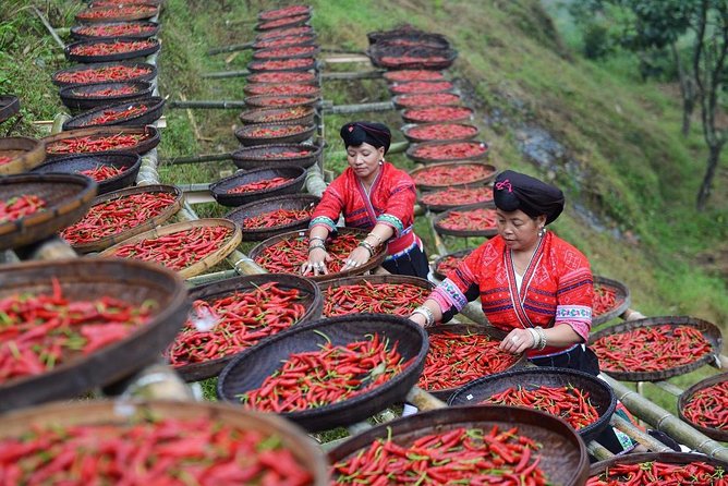 Private Day Tour to Longji Rice Terraces and Long Hair Village from Guilin - Private transport, timing, and comfort