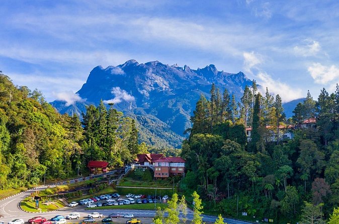 Private Desa Dairy Farm, Kinabalu National Park, Hot Spring & Canopy Walk Tour - What the guide adds to a private trip