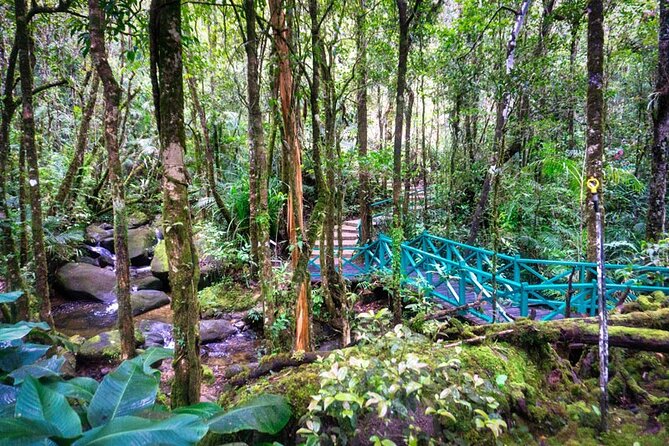 Private Desa Dairy Farm, Kinabalu National Park, Hot Spring & Canopy Walk Tour - Is $139 per person a fair price?