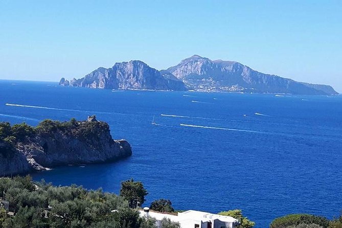 Private Exclusive Tour of Positano & Sorrento + Farmhouse Lunch - The guide makes a real difference
