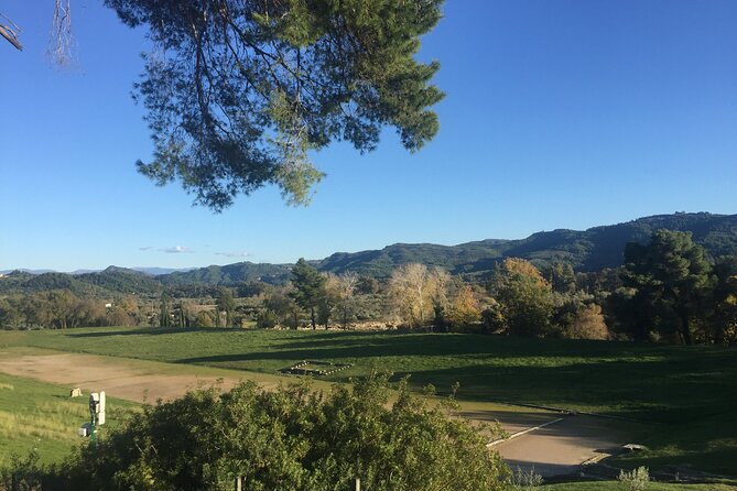 Private Excursion to Ancient Olympia - bee farm & winery - What your driver adds to the day