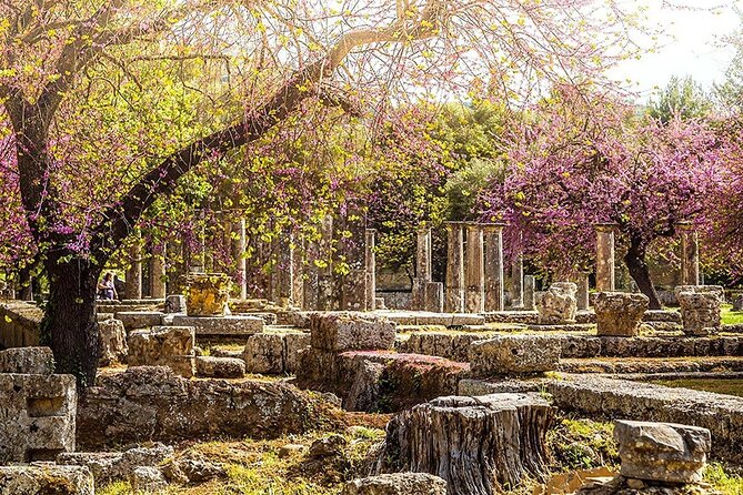 Private Excursion to Ancient Olympia - bee farm & winery - The Olympia Archaeological Museum