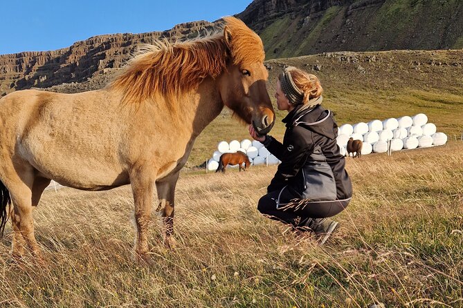 Private Farm Visit & Silver Circle Day Tour in West Iceland - Key points to know before booking