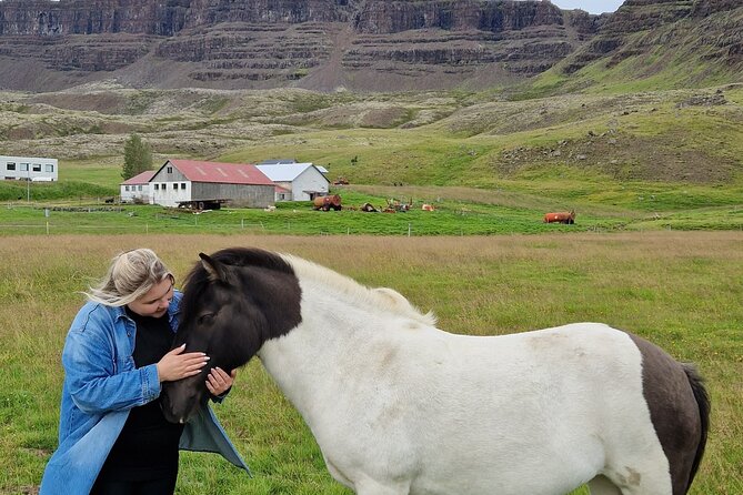 Private Farm Visit & Silver Circle Day Tour in West Iceland - What private transport changes