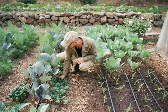 Private Farm Workshop in Napa Valley - How the private format affects value