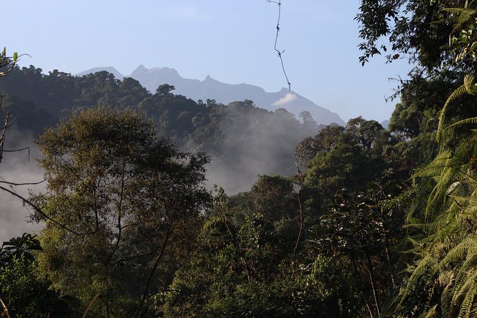 Private Full-Day Mindo Cloud Forest,Butterfly Farm, Chocolate Tour bird watching - San Tadeo Birding and the hummingbird encounter