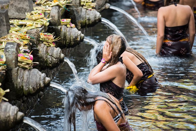 Private Full-Day Tour: Balinese Temples and Rice Terraces - D Alas Warung and the lunch break above the jungle