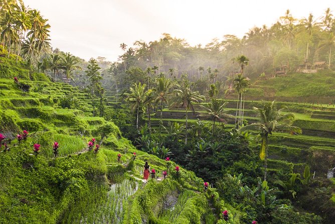 Private Full-Day Tour: Balinese Temples and Rice Terraces - Tegalalang Rice Terrace, beautiful but brief