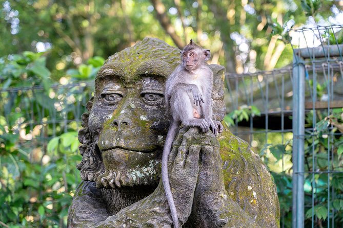 Private Full-Day Tour: Balinese Temples and Rice Terraces - Timing, fitness, clothing, and smart preparation