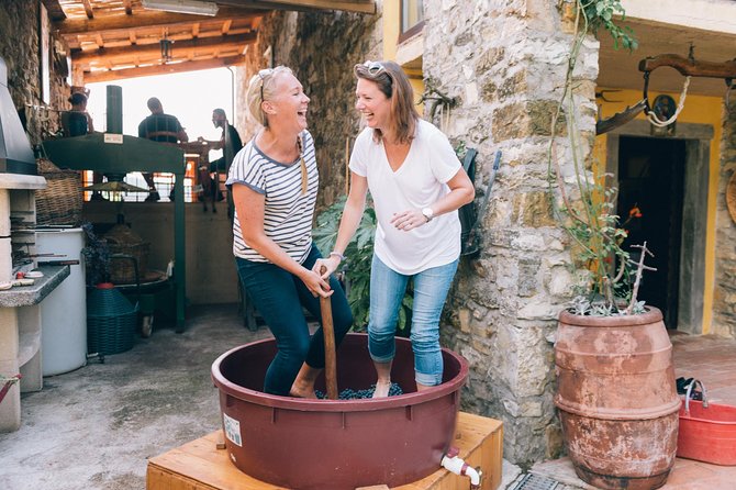Private Grape stomping at Chianti Farmhouse - A Four-Hour Taste of Family-Run Chianti