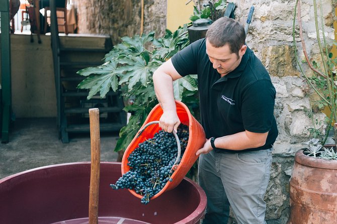 Private Grape stomping at Chianti Farmhouse - Starting at 10:00 in Castellina in Chianti
