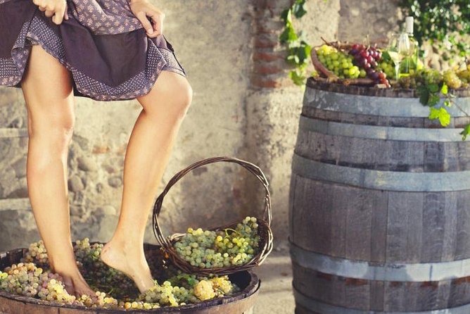 Private Grape stomping at Chianti Farmhouse - The Grape-Stomping Experience