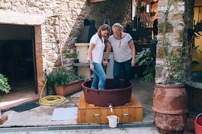 Private Grape stomping at Chianti Farmhouse - Silvia’s Homemade Lunch