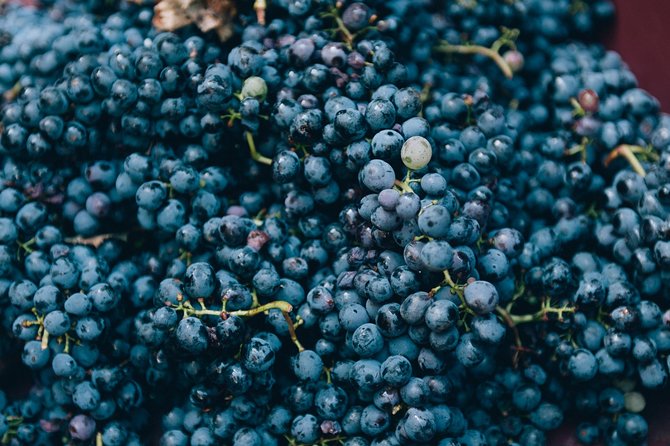 Private Grape stomping at Chianti Farmhouse - What the Price of $384.11 Really Buys