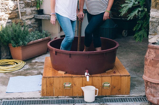 Private Grape stomping at Chianti Farmhouse - Who Will Enjoy This Farm Visit Most