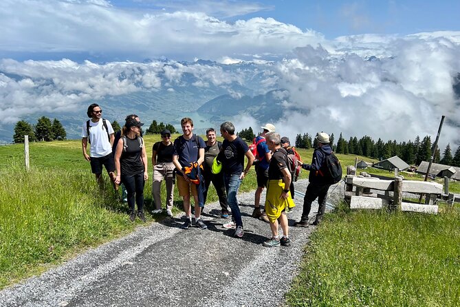 Private Guided Hike on Mt. Rigi with Farm Visit and BBQ - What the $789.51 price really buys