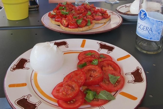Private guided tour of Paestum and Buffalo Mozzarella farm lunch - From ancient temples to Barlotti’s buffalo farm