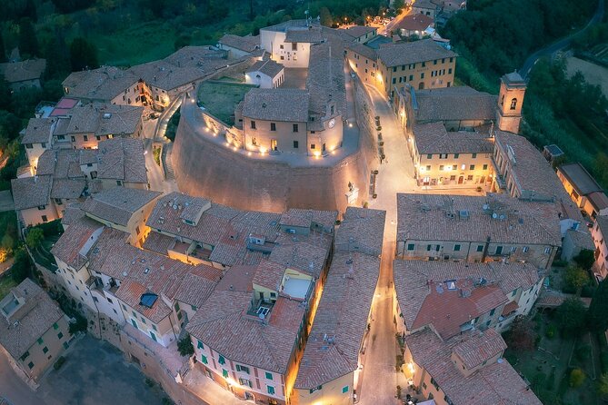 Private Guided Tour to Pisa and local Wine Farm from Livorno port - What the private vehicle adds