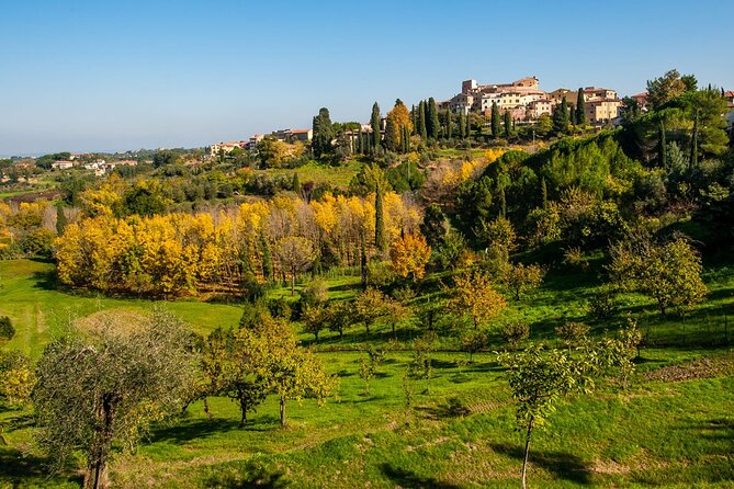 Private Guided Tour to Pisa and local Wine Farm from Livorno port - Who should book this Tuscan day