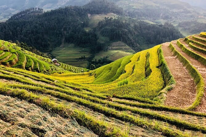 Private Half-Day Tour of Villages, Terrace Rice Fields by Car - What the $45 price really covers