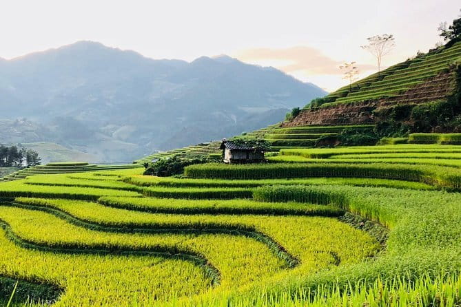 Private Half-Day Tour of Villages, Terrace Rice Fields by Car - Who will enjoy this tour most