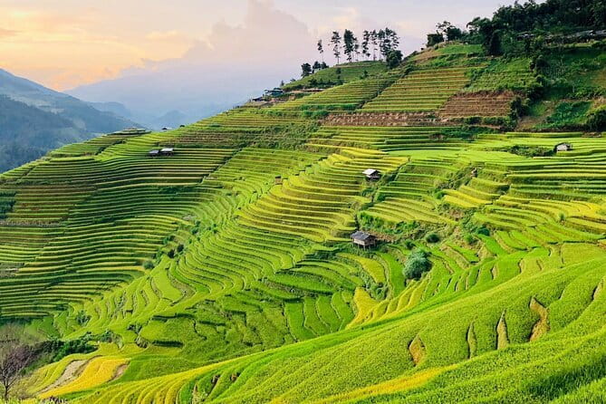 Private Half-Day Tour of Villages, Terrace Rice Fields by Car - Y Linh Ho, a quieter change of pace