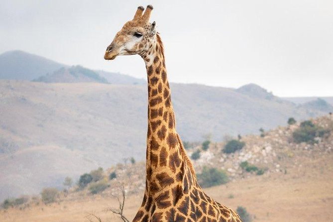 Private Le Cape Animal Farms Full Day Tour - Is the $182.31 price fair?
