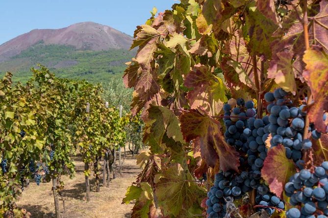 Private Mt Vesuvius and Pompeii with Lunch and Wine Farm Experience - Why this Naples day works so well