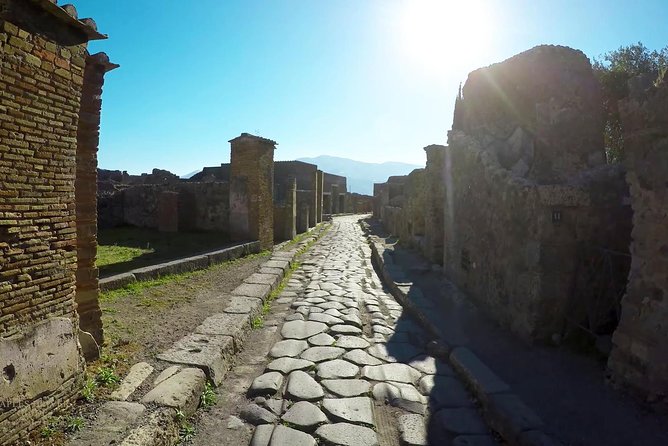 Private Mt Vesuvius and Pompeii with Lunch and Wine Farm Experience - What the private minivan adds