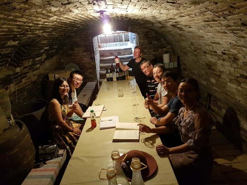 Private Novi Sad, Sremski Karlovci & Farmer's House - Petrovaradin Fortress above the Danube