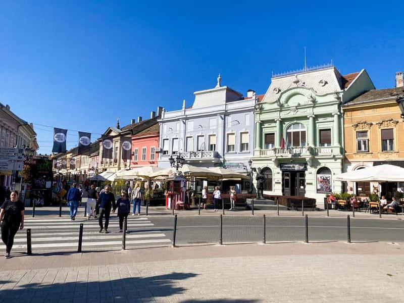 Private Novi Sad, Sremski Karlovci & Farmer's House - Salas 137 and the taste of Vojvodina