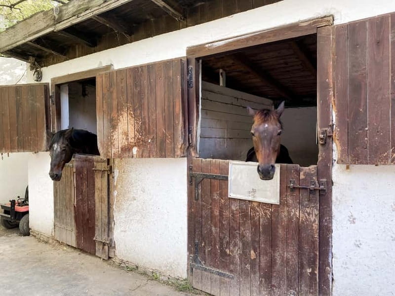 Private Novi Sad, Sremski Karlovci & Farmer's House - Who will get the most from this tour
