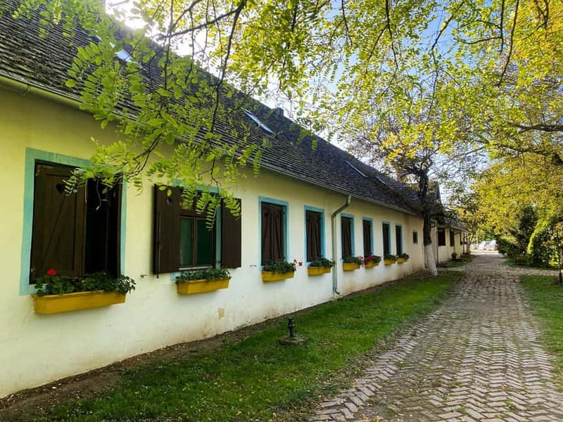 Private Novi Sad, Sremski Karlovci & Farmer's House - Should you book this Vojvodina day trip?