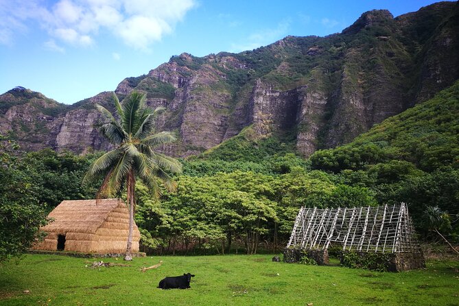 Private One way Transfer Waikiki Hotel and Kualoa Ranch - Key points to know before booking
