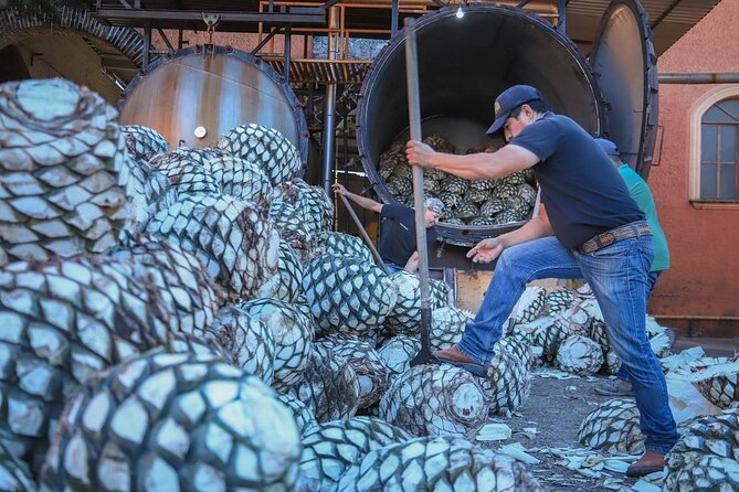Private Tasting Tour Hacienda de Oro, Amatitan Jalisco - Timing, alcohol, and practical planning