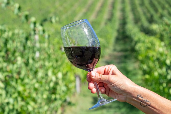 Private tastings at the Colombina Agricultural Company - What makes the wines worth tasting