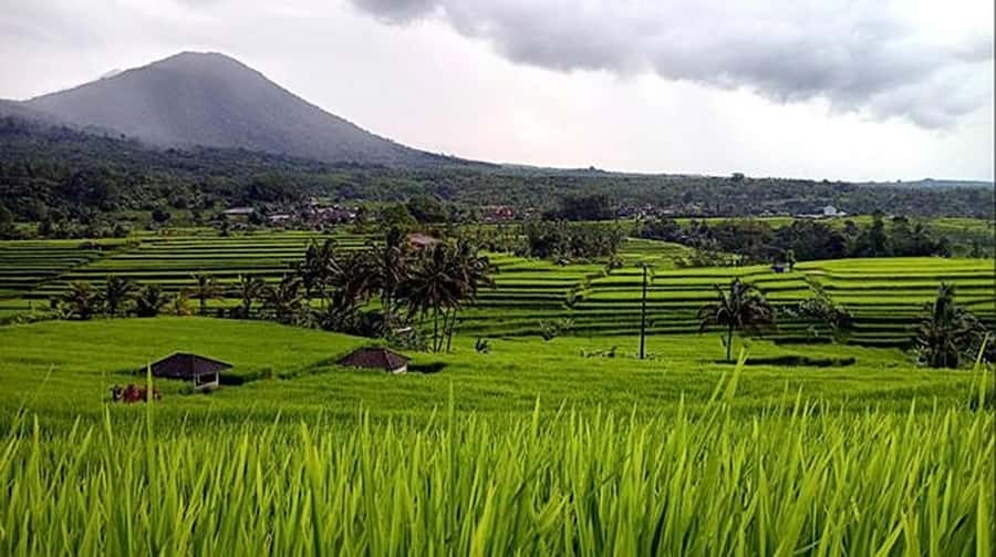 Private Tetebatu Nature Tour with Rice Terraces - Meeting Sasak village life