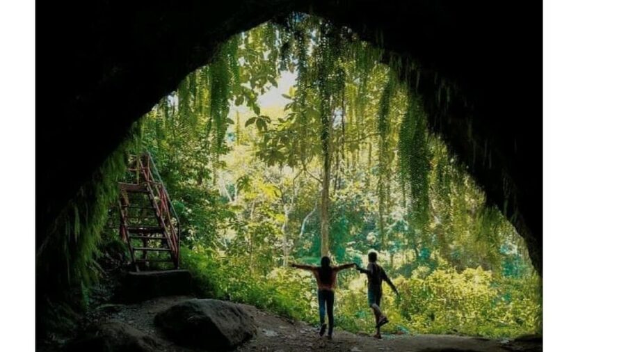 Private Tetebatu Nature Tour with Rice Terraces - The Monkey Forest and its quieter paths