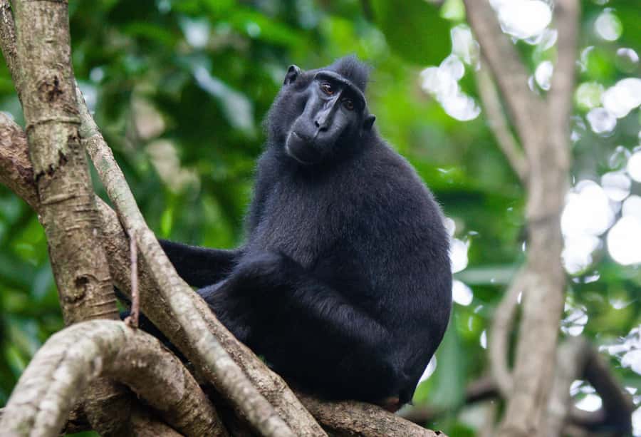 Private Tetebatu Nature Tour with Rice Terraces - A short trek to the waterfall