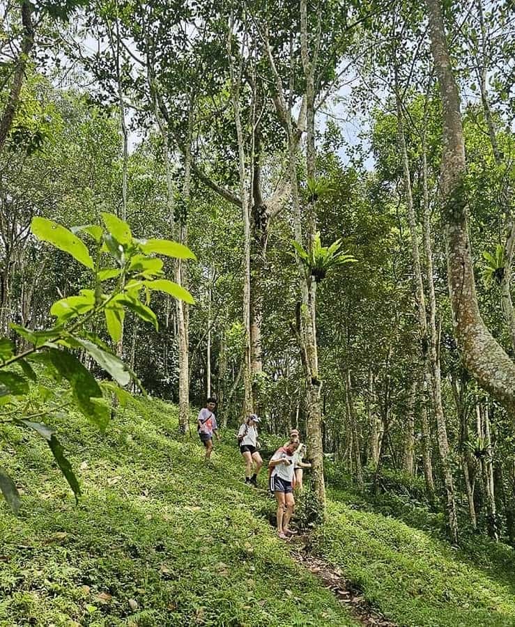 Private Tetebatu Nature Tour with Rice Terraces - The bicycle detail and keeping your pace