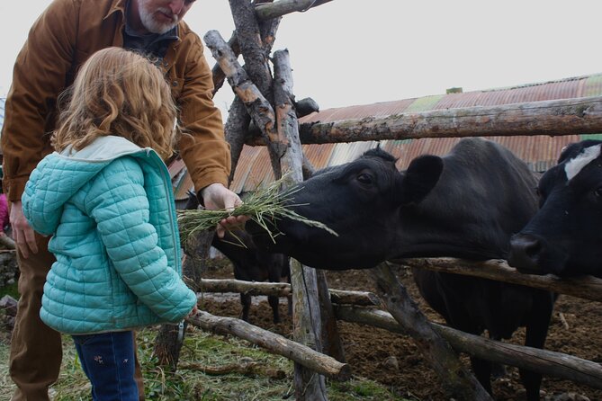 Private Tour at Historic Alaska Dairy Farm - A working farm visit near Wasilla
