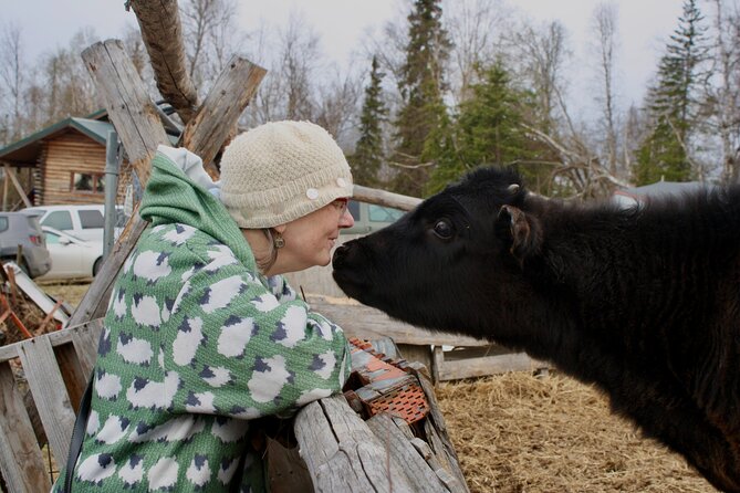 Private Tour at Historic Alaska Dairy Farm - Exploring the barn and pasture
