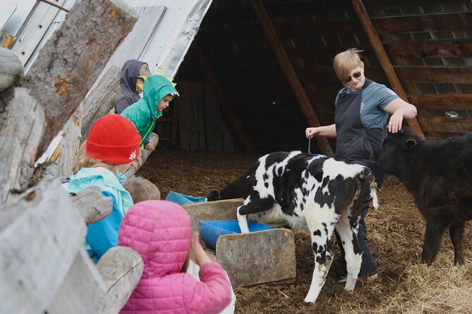 Private Tour at Historic Alaska Dairy Farm - The cow milking demonstration