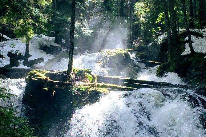Private Tour at The Hood-Columbia Loop: Timberline, Orchards, and Waterfalls - Key points to know before booking