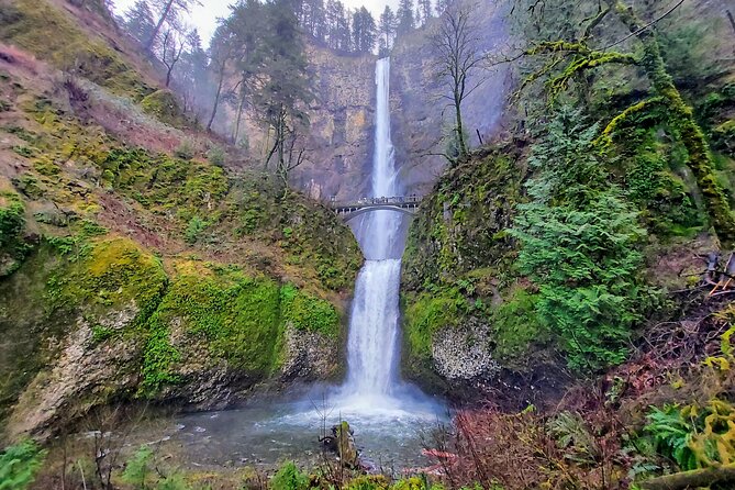 Private Tour at The Hood-Columbia Loop: Timberline, Orchards, and Waterfalls - Timberline Lodge and the upper slopes of Mount Hood